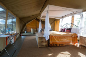  Serengeti Wildebeest Camp  Robanda
